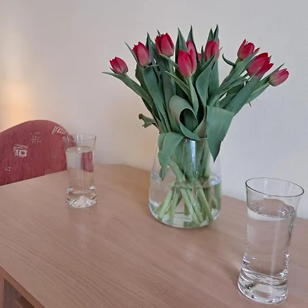 ホームステイ Magdalena *