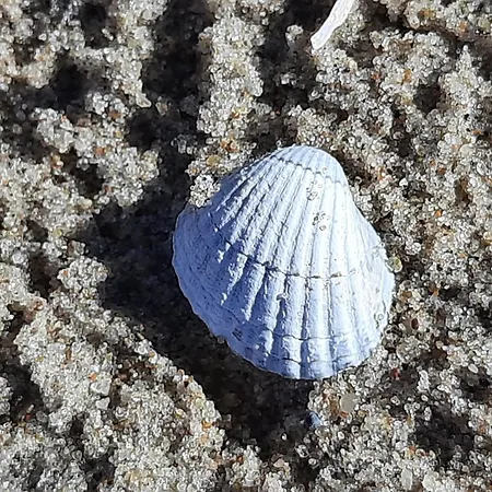Habitación en casa particular Magdalena *