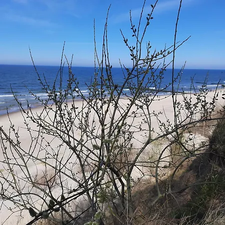 ホームステイ Magdalena *