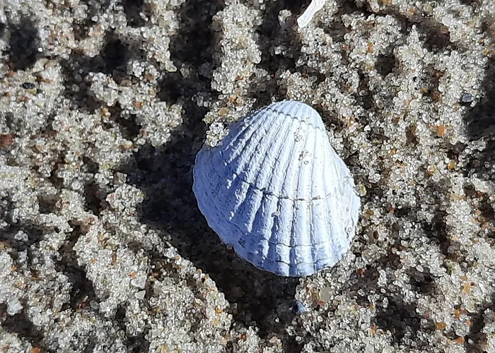 Habitación en casa particular Magdalena *